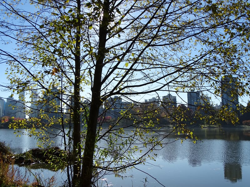 Lost Lagoon, Stanley Park, Vancouver