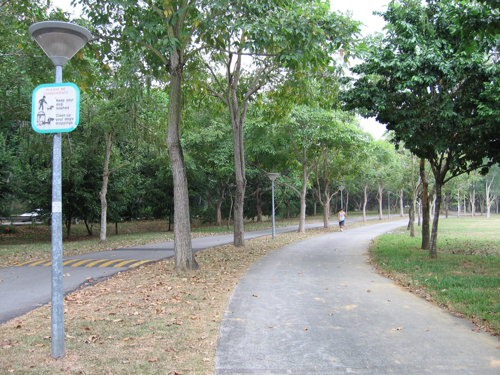 Small community dog run in a Bedok heartland park