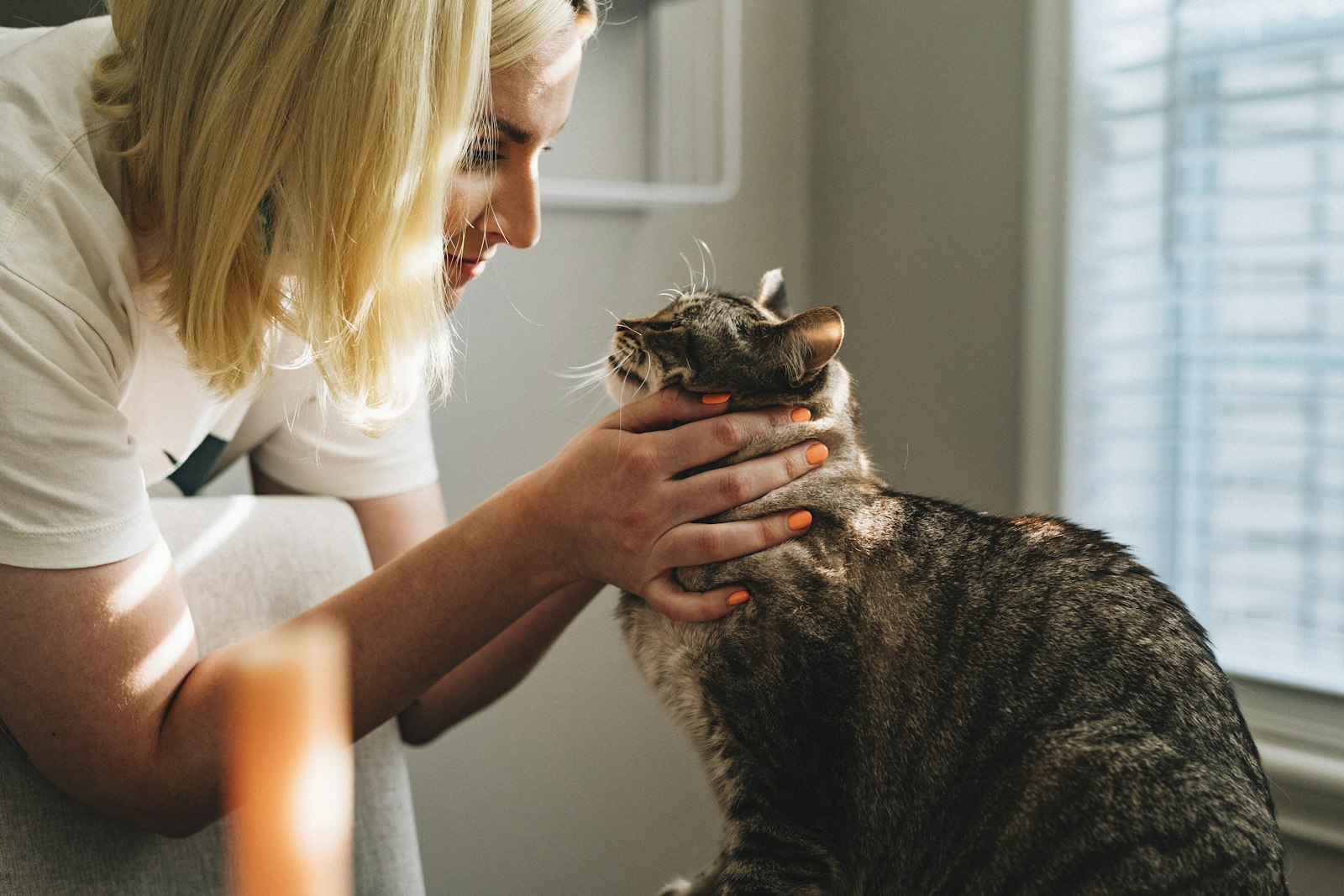 A veterinarian conducting a thorough wellness examination on a dog