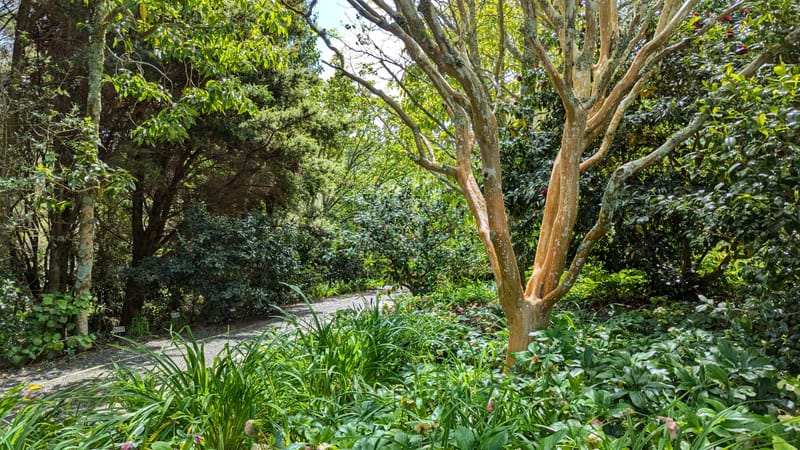 Auckland Botanic Gardens, Manurewa