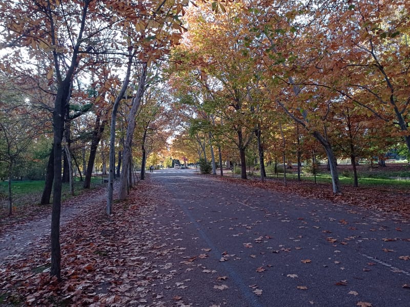 Casa de Campo, Madrid, at dusk