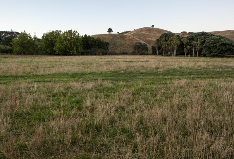 Long Bay Regional Park, Auckland