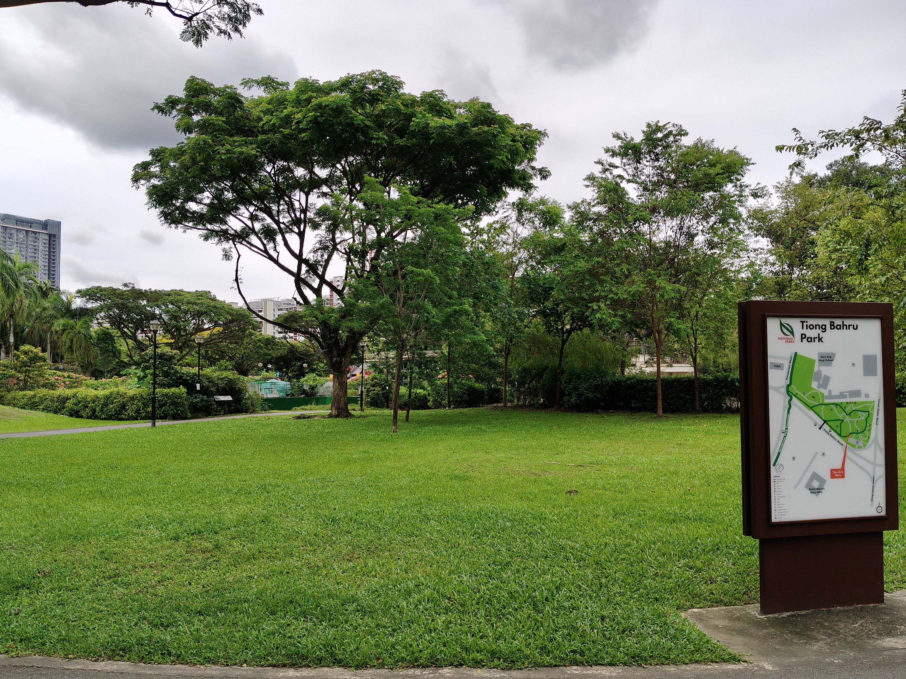 Shaded dog run tucked between shophouse alleyways in Tiong Bahru Singapore