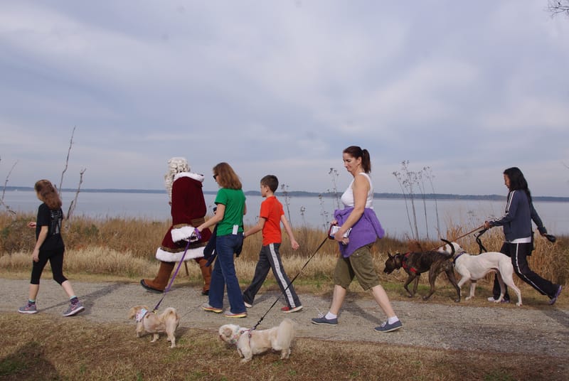 Dog community event — representative image