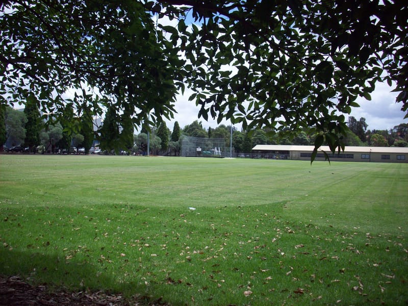 Blackmore Oval, Leichhardt, Sydney