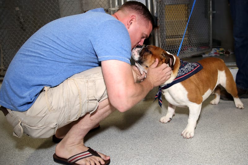 Dog community event — representative image