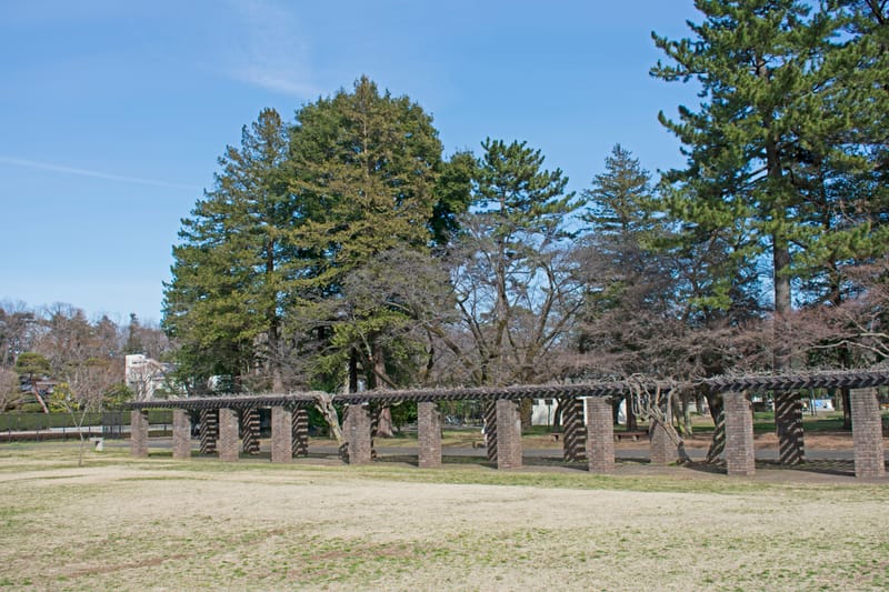Koganei Park, Koganei, Tokyo